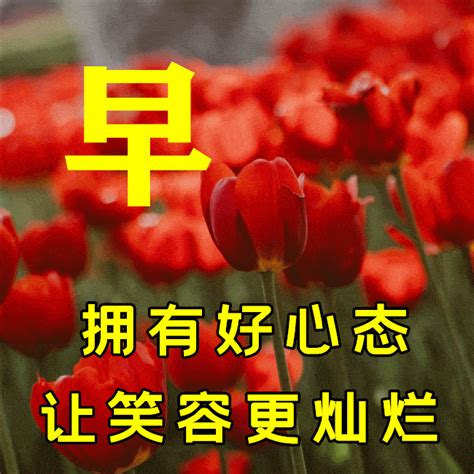 3月23日春天早上好问候朋友暖心句子，2023春天特别漂亮风景美图好友友情时候