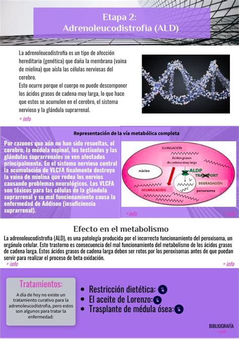 Adrenoleucodistrofia Ald