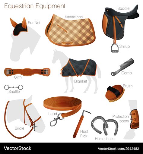 Set equestrian equipment Royalty Free Vector Image