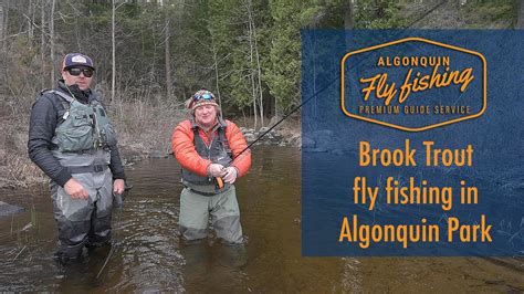 Brook Trout Fly Fishing In Algonquin Park Algonquin Fly Fishing