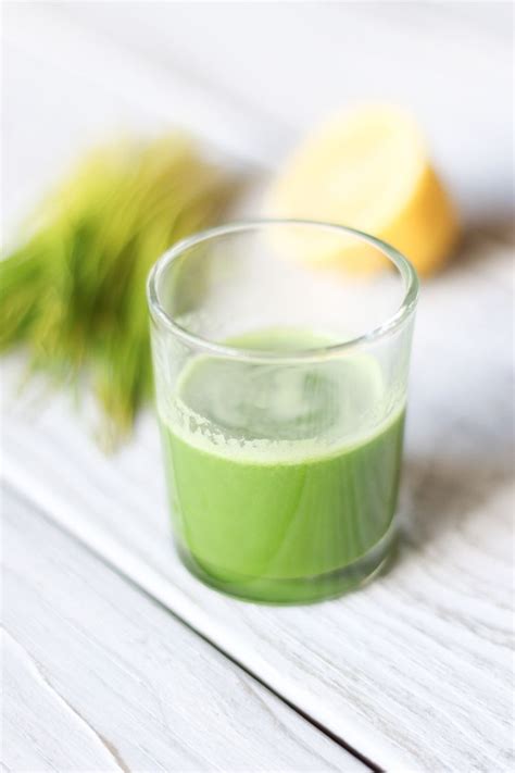 Benefits Wheatgrass Juice Recipe | Besto Blog