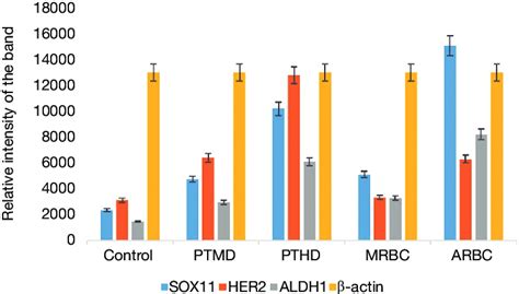 Quantification Of SOX11 HER2 And ALDH1 Expression In Different Breast