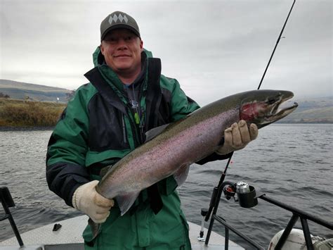 Clearwater River Steelhead Better Than Expected Pautzke Bait Co