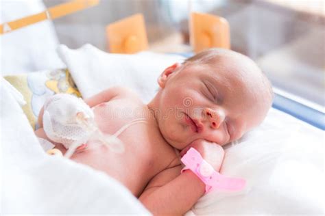 Prematurely Born Baby Lies In A Hospital Incubator Stock Image Image