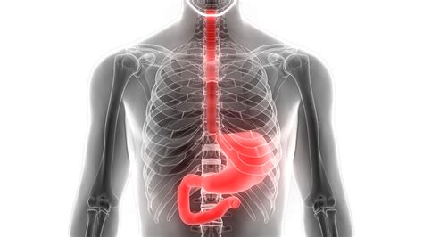 Upper Gastrointestinal Surgery Nexus Surgical