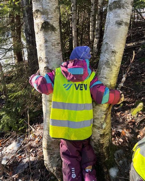 Aurskog Høland kommune Barnehageopptaket 2023 avsluttet Dette skjer nå