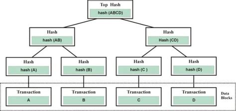 An example of Merkle Tree | Download Scientific Diagram