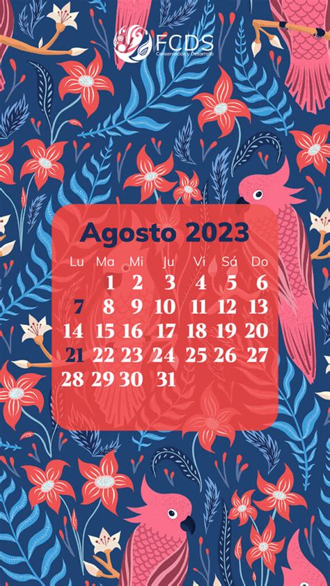 Descargue aquí el calendario de agosto para su celular FCDS