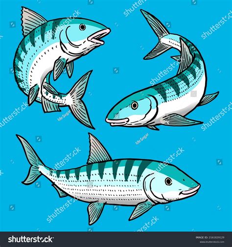 54 Bonefish Drawing Royalty Free Images Stock Photos And Pictures