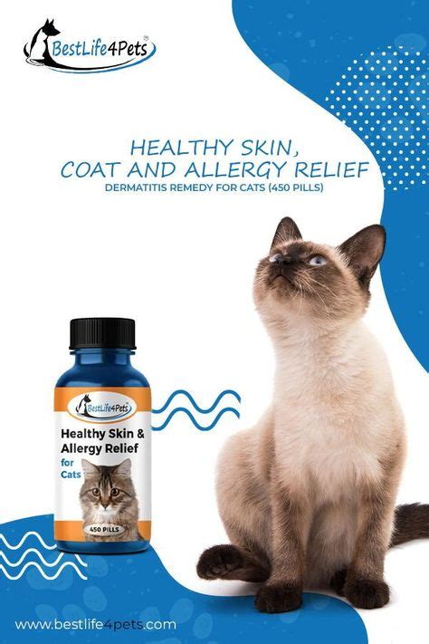 250 Cat Skin Care Ideas In 2021 Cat Skin Cat Skin Problems Cats