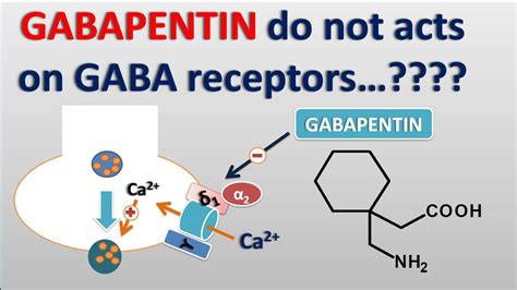 Gabapentin do not acts on GABA receptors, is it true? - YouTube