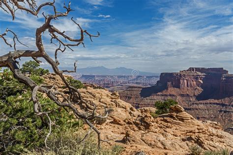 Parque Nacional De Canyonlands Foto De Stock Imagem De Cenas Baga