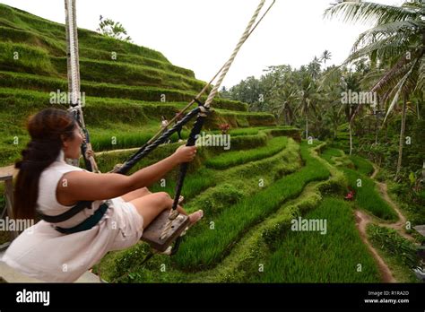 Asian girl swinging over the rice terraces. Tegallalang. Bali ...