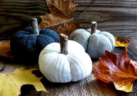 Top Upcycled Pumpkin Ideas Upcycle That