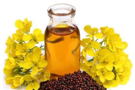 Here Are Some Benefits Of Mustard Oil Body Massage During Winters