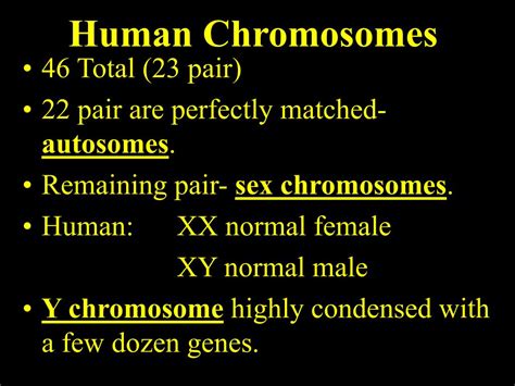 PPT Sex Chromosomes And Nondisjunction Diseases PowerPoint Presentation ID 6420043