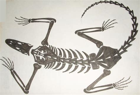 Tribal Skeleton Iguana by ZIM402 on DeviantArt