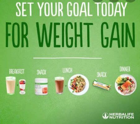 Herbalife Nutritional Products For Weight Muscle Gain