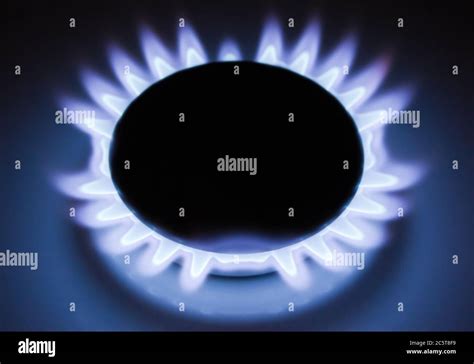 Blue Flames Of A Burning Natural Gas Gas Cooker In Action Stock Photo