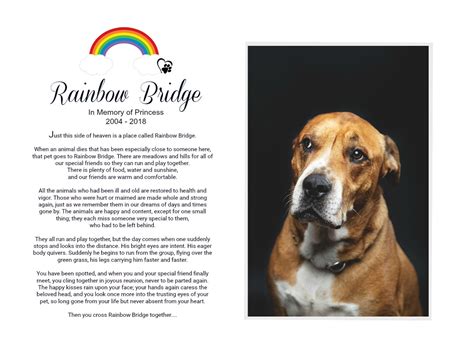 Rainbow Bridge Pet Memorial Personalized Tribute Poem | Etsy