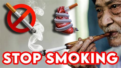 Keuntungan Menggunakan Pipa Rokok Youtube