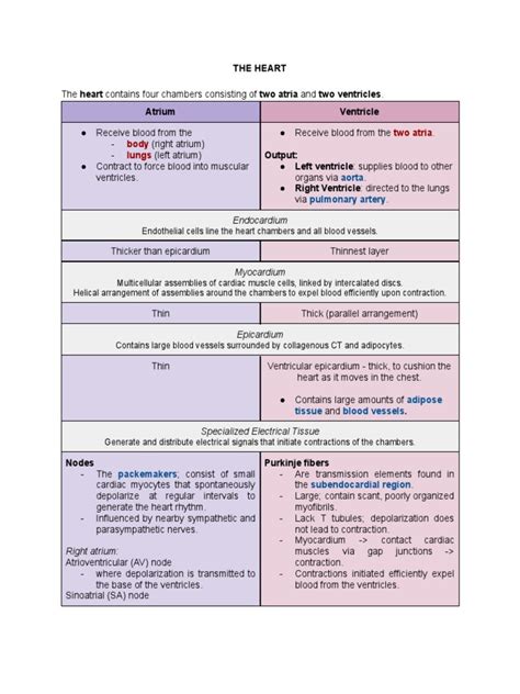 Histology Notes:The Heart and Blood Vessels | PDF | Cardiac Muscle | Heart