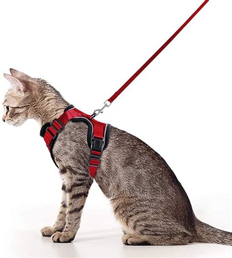 Rabbitgoo Cat Harness And Leash For Walking Escape Proof Soft