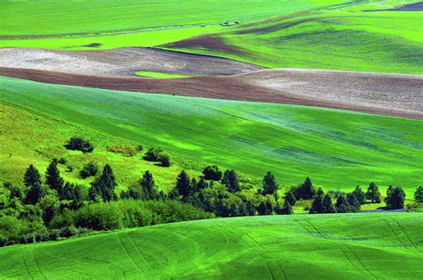 Palouse, Steptoe Butte, Cultivation Photograph by Michel Hersen - Pixels