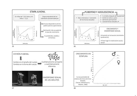 Tema 2 Ciclo Vital Humano1pdf