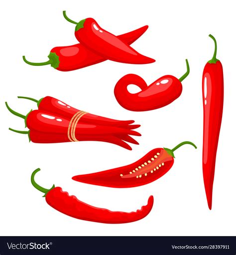 Hot Chili Pepper Isolated On White Background Vector Image