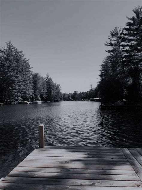 A Wooden Dock Sitting On Top Of A Lake Next To A Forest Filled With Trees