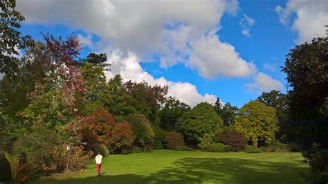 Autumn in all its glory: Savill Garden, Windsor – findingtimetowrite