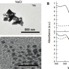 Protein Concentration Calibration Curve Of Bsa Obtained From The