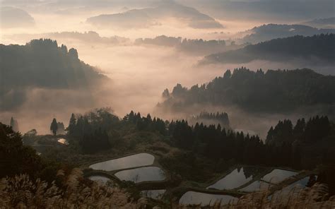 Nature Landscape Mist Sunrise Valley Forest Mountain Terraces Water