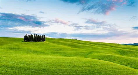 Val D Orcia Cheese And Wine Tasting Tour From Florence Getyourguide