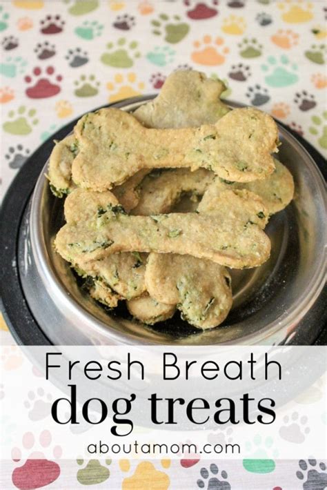 Homemade Fresh Breath Dog Treats for When Your Dog has Bad Breath ...