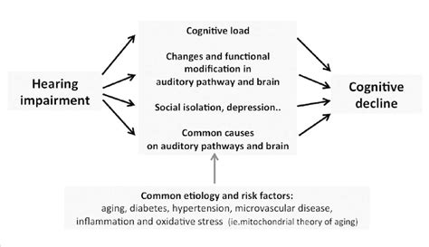 Conceptual Model Of The Association Of Hearing Loss With Cognitive