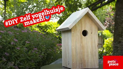 DIY Zelf Een Vogelhuisje Maken DIY Vogel YouTube