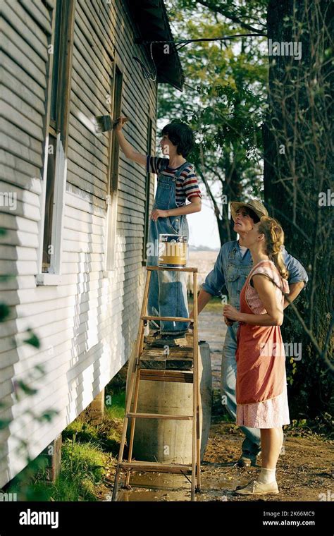 Logan Lerman Robert Sean Leonard Arija Bareikis A Painted House