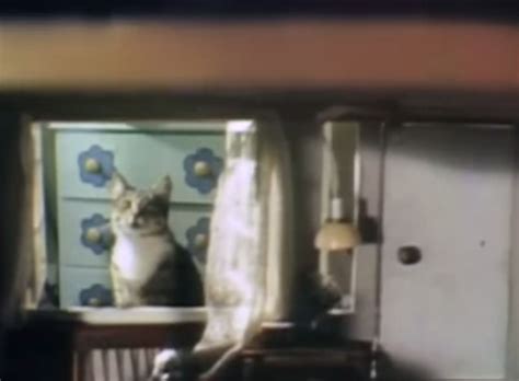 Sesame Street - "Doll House" - Cinema Cats