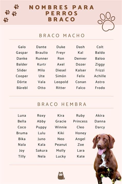 Nombres Para Perros Braco M S De Ideas Nombres Para Cachorros