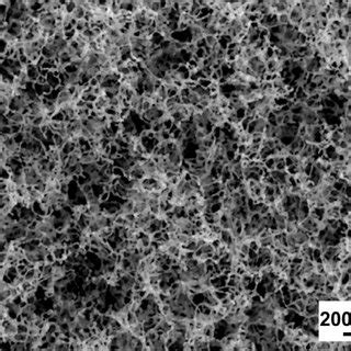 SEM Images Of The He Plasma And Laser Exposed Surfaces Absorbed Power