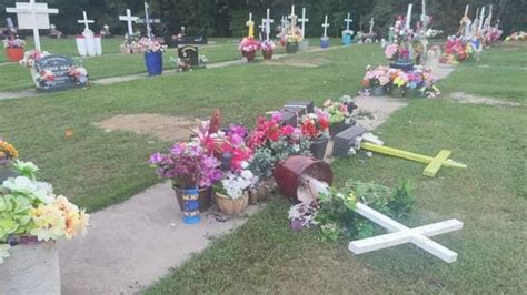 Grave Vandals Cairns Martyn Street Cemetery Desecrated The Cairns Post