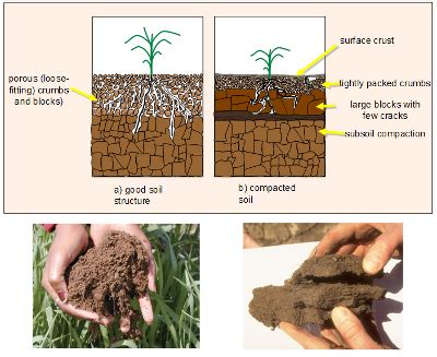 Dealing with soil compaction