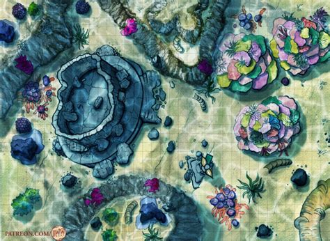 Flower Field Battlemap Google Search Fantasy City Map Underwater