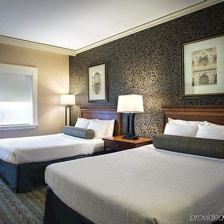 The Whitehall Houston Hotel Expert Review: What To Expect From Your ...