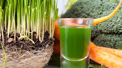 Wheatgrass Shot Recipe Bryont Blog