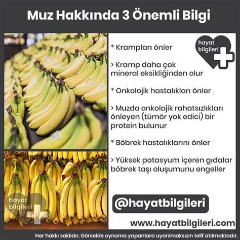 Be Enme Yorum Instagram Da Hayat Bilgileri Hayatbilgileri