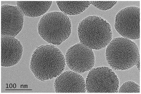 一种无机纳米可生物降解多靶点靶向智能给药系统、其制备方法及应用与流程