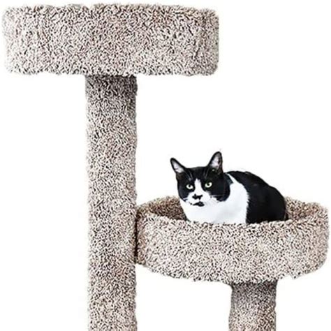 13 Best Cat Trees For Maine Coons in 2022 (Cat Tested!)